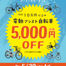 EARLY SUMMER SALE !!!