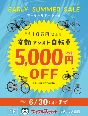 EARLY SUMMER SALE !!!