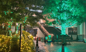 ウインターイルミネーション開催中！