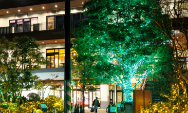 ウインターイルミネーション開催中！